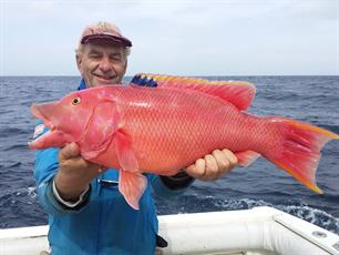 Records zeevissen op een rijtje