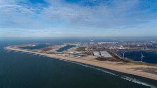 Rewilding Rijn en Maas