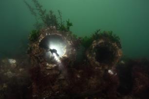 Rif in de Utrechtse grachten