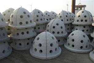 Rifkorven in Noorder IJplas