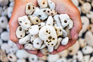 Roofvissen: dropshotten met paramoudra's