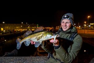 Roofvissen: Full moon party