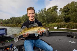 Roofvissen: goudhaantje in en op het water