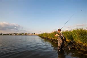 Roofvissen: kniediep in het kribvak
