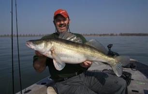 Roofvissen - Kunstaas top 5