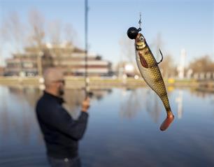 Roofvissen: Loodvrij, dat zijn wij!