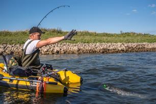 Roofvissen: meerval op de buis