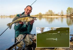 Roofvissen: parachutevissen met de cup-rig 