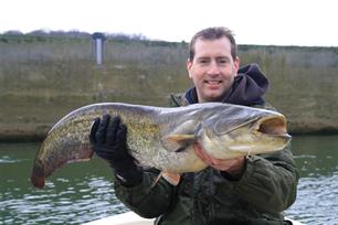 Roofvissen: pas op voor infecties