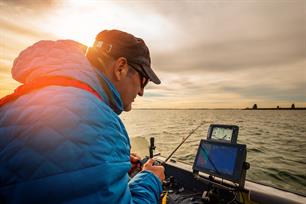 Roofvissen: pelagisch snoekbaarzen