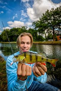 Roofvissen: popperen op baars