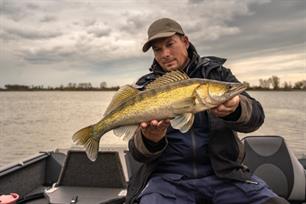 Roofvissen: rovers van het ondiepe