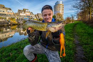 Roofvissen: snoeken met kikker-imitaties 