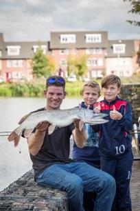 Roofvissen - snoeken met zeevis