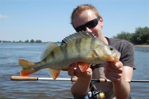 Roofvissen - succesvol roofvissen in hartje zomer