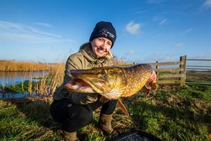 Roofvissen: van black bass naar poldersnoek