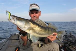 Roofvissen - verborgen in het groen