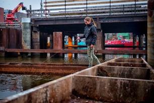 Roofvissen - wiggle, wiggle, wiggle aan de Zaan