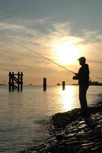 Roofvissen - zeebaarstips