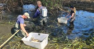 RTV Oost bij reddingsactie vis (video)
