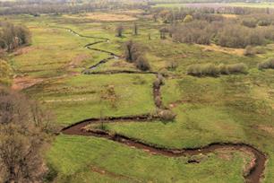 Ruim baan voor talent