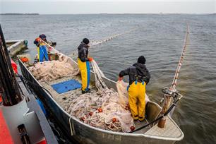 Samen vissen, samen beheren