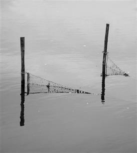 Sanctie opgelegd aan beroepsvisser