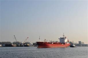 Snelweg voor vissen: Samenwerken aan vismigratie Noordzeekanaal loont