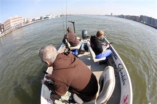 Snoekbaars: van oogstvis tot motor van een duurzame sportvisserij