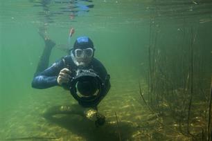 Snorkelen naar vissen