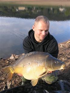 Spiegelkarperprojecten : Van consumptiedikbil tot troeteldier