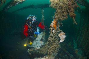 Sportduikers doen een clean up in de zuidelijke Noordzee (video)