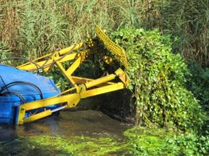 Sportvissers en waterschap in strijd met waterplant