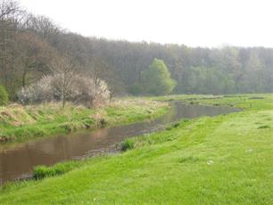 Stelling: de visstand is maakbaar