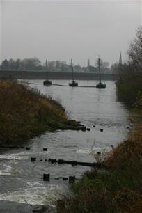Stelling : De waterbeheerder is verantwoordelijk voor het visstandbeheer