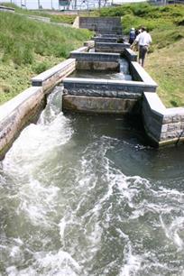 Stelling: Het aanleggen van vistrappen is lang niet altijd nodig