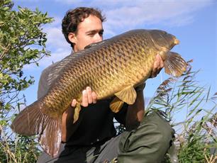 Stelling: Karperuitzetting is faunavervalsing