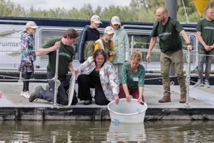 Steur na 70 jaar terug in Nederland (video)