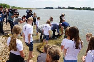 Steuren via Haringvliet naar zee (video)
