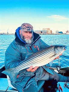 Striped bass in het IJ