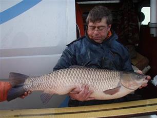 Survival of the fittest in waterwingebieden : Vis in spaarbekkens, duinkanalen en infiltratiegeulen