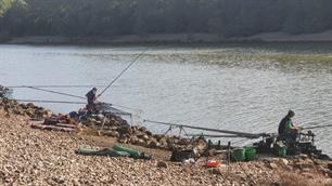 Team Limburg 1 wint TopTeamCompetitie Dobbervissen