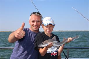 Terugblik Sharkatag 2018 (video's)