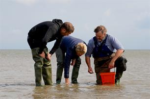 Terugkijken: aandacht voor visstand Waddenzee op RTL 4