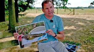 Terugkijken: onderzoek naar mysterieuze kwabaal (video)