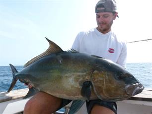 Toename in recordclaims bij NCRZ in 2023