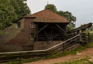Trekvis wereldwijd in de knel
