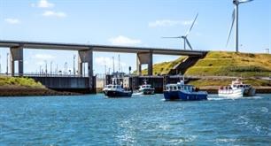 Twaalf haaien op dag 3 Sharkatag