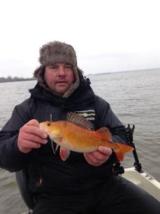 Unieke goudbaars gevangen