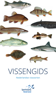 Update VISsengids app